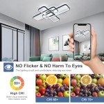Dimmable Black LED Ceiling Lights with Remote Control