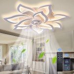 Modern Ceiling Fan with Light and Remote Control