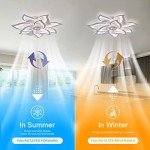 Modern Ceiling Fan with Light and Remote Control