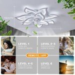 Modern Ceiling Fan with Light and Remote Control
