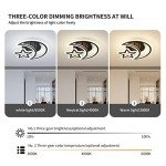 Dimmable LED Star & Moon Ceiling Light