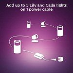 Philips Hue Lily Outdoor Smart LED Light Kit