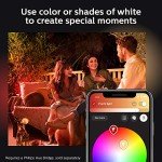 Philips Hue Lily Outdoor Smart LED Light Kit