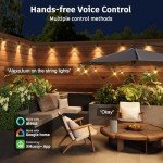 Outdoor Smart String Lights with Dimmer & WiFi