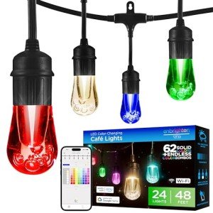 Smart LED Vintage Café Lights - 48ft Multicolor