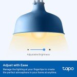 Tapo WiFi Smart Dimmable Warm White Bulb