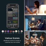 Smart Color-Changing Alexa-Compatible LED Bulbs (Set of 2)