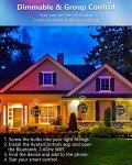 Smart WiFi LED Candle Bulb with Music Sync