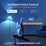 Fitop WiFi Smart Dimmable LED Bulbs - 2 Pack