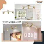Modern 3-Head Brass Ceiling Spotlight Fixture