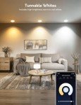Enshine GU10 Smart Bulbs, RGB & Tunable White - 4 Pack