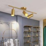 Modern 3-Head Brass Ceiling Spotlight Fixture