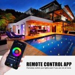Smart E14 LED Candle Bulb, WiFi & Alexa Compatible