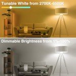 WiFi Smart LED Bulb, Works with Alexa & Google