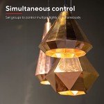 Smart Dimmable LED Bulbs - Alexa & Google Home