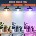 Smart WiFi Dimmable LED Bulb for Alexa & Google