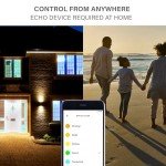 Sengled Multicolor LED Smart Light Bulb B22