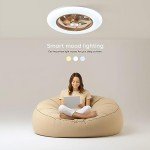 Smart Low Profile Ceiling Fan with LED Light