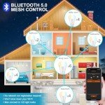 DUSKTEC Smart Bluetooth Light Bulbs, 4 Pack
