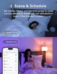 Meross Smart LED Bulb - Alexa & HomeKit Compatible