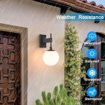 Large Outdoor Wall Sconce with Globe Glass