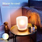 Smart Dimmable Candle Bulb - Works with Alexa & Google Home