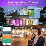 Smart WiFi LED Bulbs E27 A60 - 4 Pack