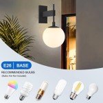 Large Outdoor Wall Sconce with Globe Glass