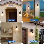 Large Outdoor Wall Sconce with Globe Glass