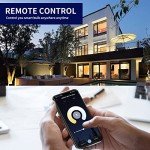 Smart WiFi Candle Bulbs - Color Changing LED