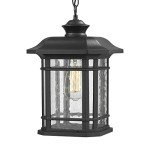 Emliviar Modern Black Outdoor Pendant Lantern 14