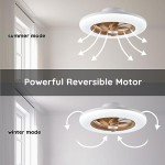 Smart Low Profile Ceiling Fan with LED Light