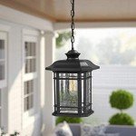 Emliviar Modern Black Outdoor Pendant Lantern 14