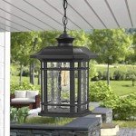 Emliviar Modern Black Outdoor Pendant Lantern 14