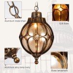 Vintage Outdoor Pendant Lantern for Porch and Yard