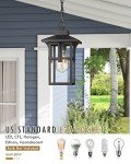 Matte Black Outdoor Pendant Light with Seeded Glass
