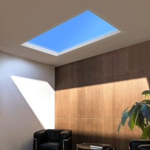 Smart Blue Sky Light Ceiling Lamp 1x2FT