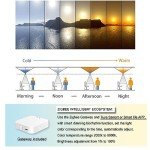 Smart Blue Sky Light Ceiling Lamp 1x2FT