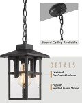Matte Black Outdoor Pendant Light with Seeded Glass