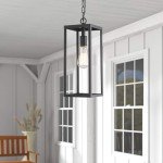 Bestshared Black Outdoor Pendant Lantern with Glass