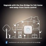Philips Hue Amaze Smart Ceiling Pendant Light