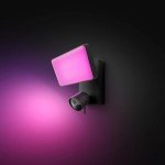 Philips Hue Smart Floodlight with 1080p Camera