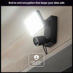 Philips Hue Smart Floodlight with 1080p Camera