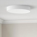 Philips Hue White Ambiance Smart Ceiling Light