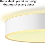 Philips Hue White Ambiance Smart Ceiling Light