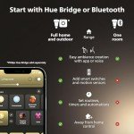 Philips Hue White Ambiance Smart Ceiling Light