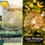 Ranttan 14.6" Outdoor Rattan Solar Chandelier