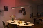 Philips Hue Ensis Smart Pendant Light for Home