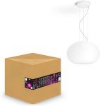 Philips Hue Flourish Smart Pendant LED Light
