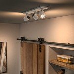 Philips Hue White Ambiance Smart Ceiling Bar Light